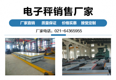 電子秤銷(xiāo)售廠(chǎng)家